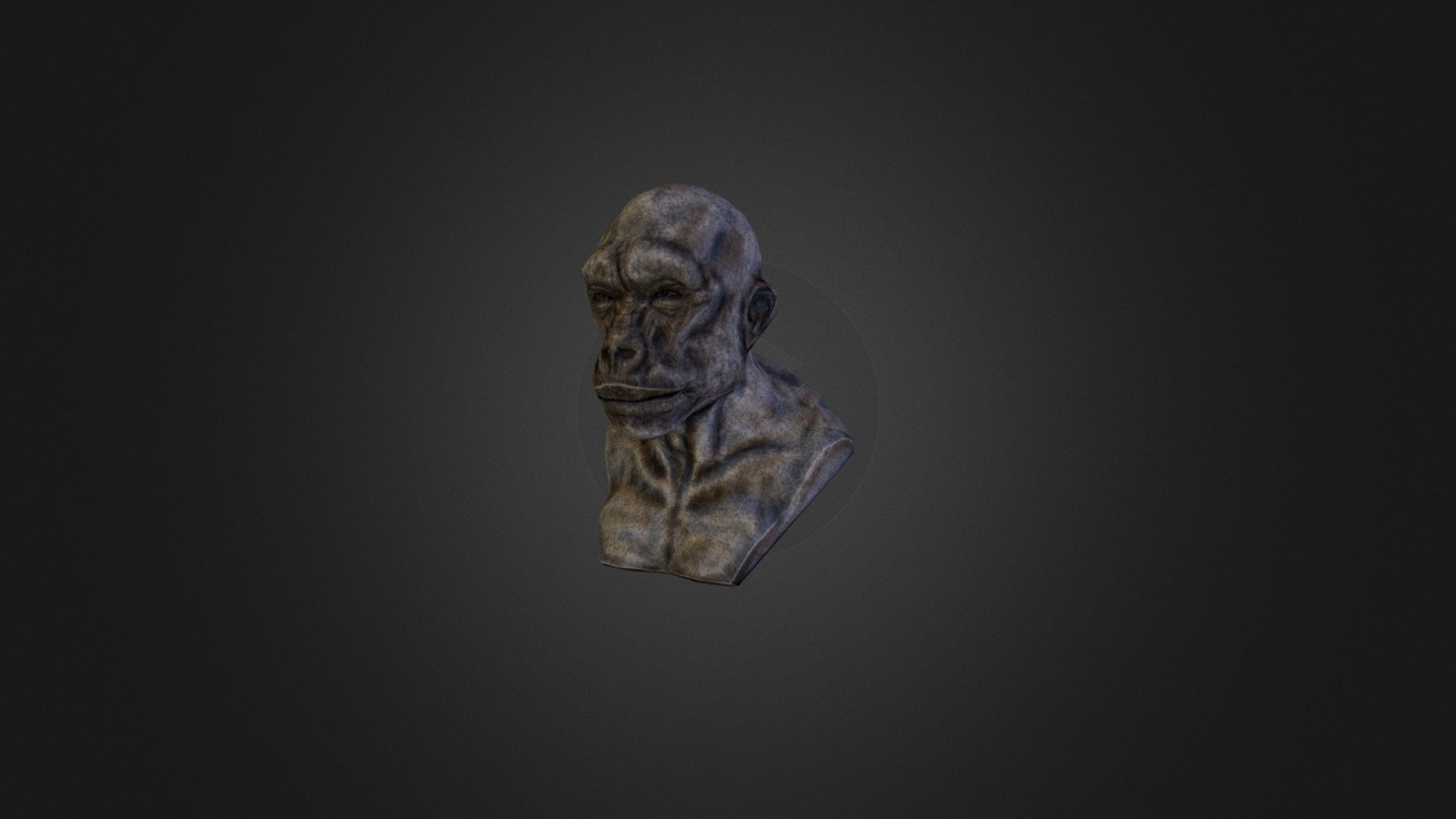 Skin_Monkey Bust LP.OBJ - 3D model by CJohnD [5c70ced] - Sketchfab