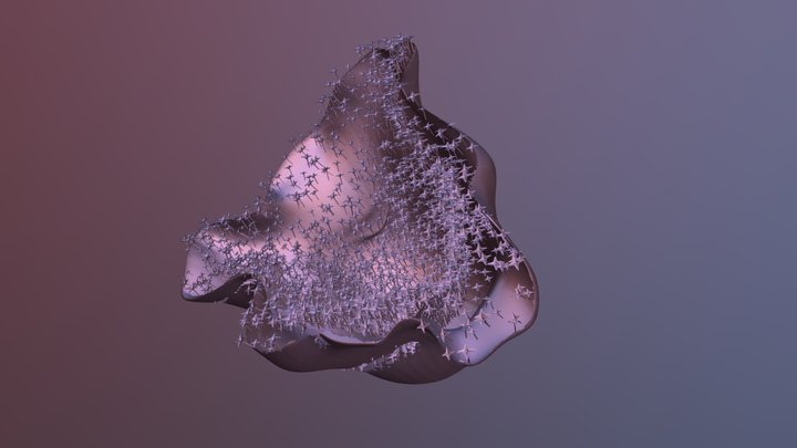 flower_shell_ 3D Model