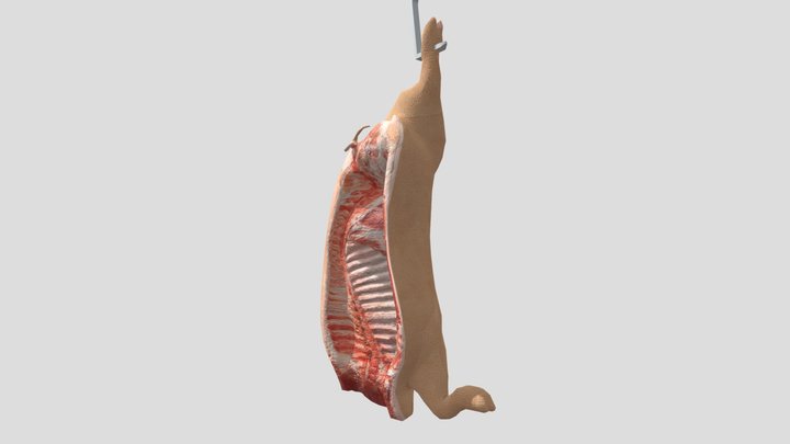 Pig Carcass 3D Model