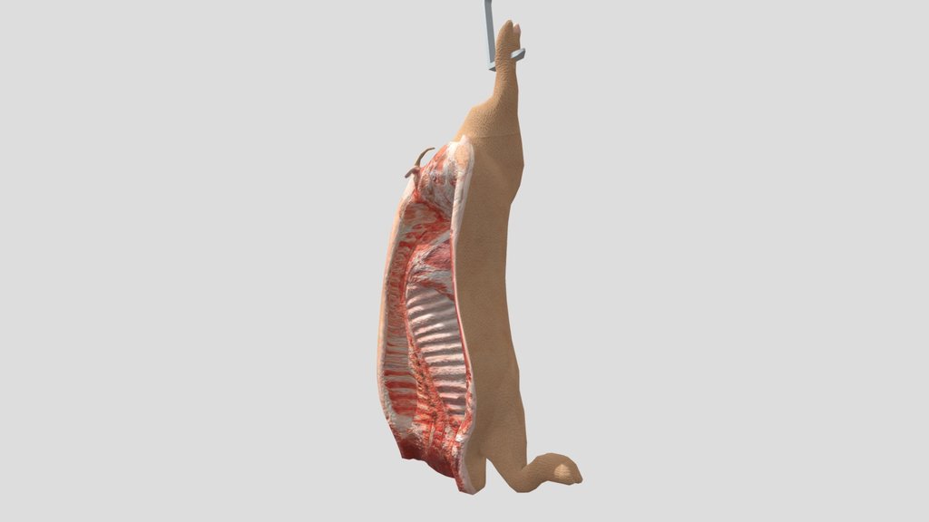 Pig Carcass