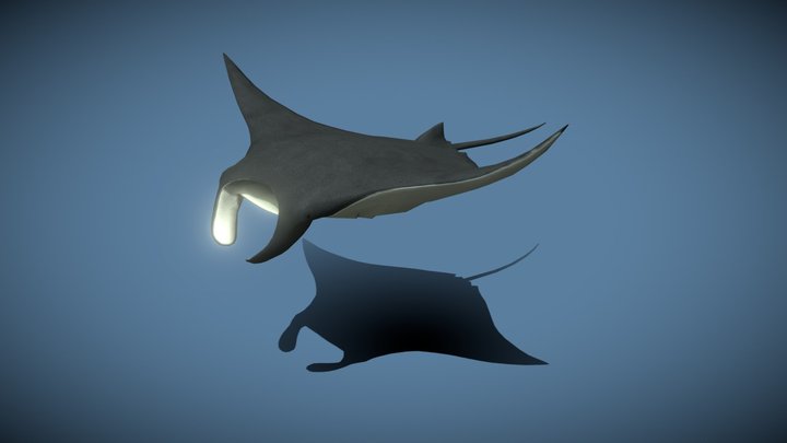 Sealife - Manta Ray 3D Model
