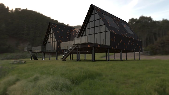 Combined Modern Twin House Consept 3D Model