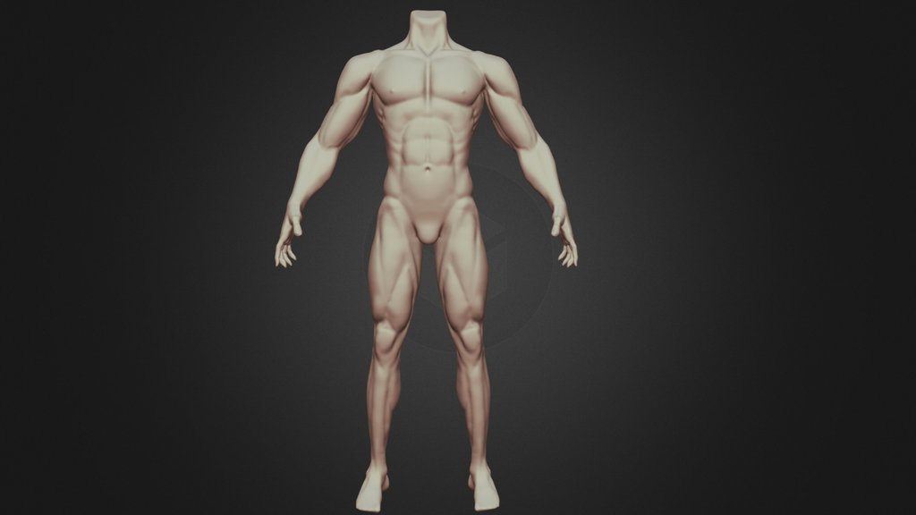 Male body