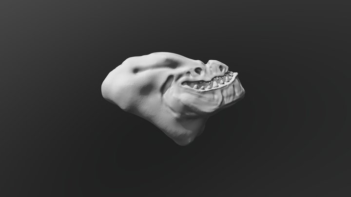Macrosaurio 3D Model