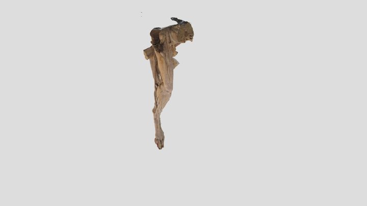 zadnja pasja 3D Model