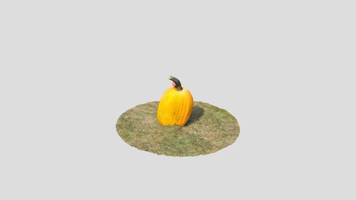 Large Pumpkin and Apple