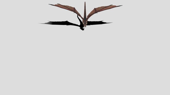 Dragon flying 3D Model