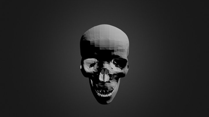 SKULL 3D Model