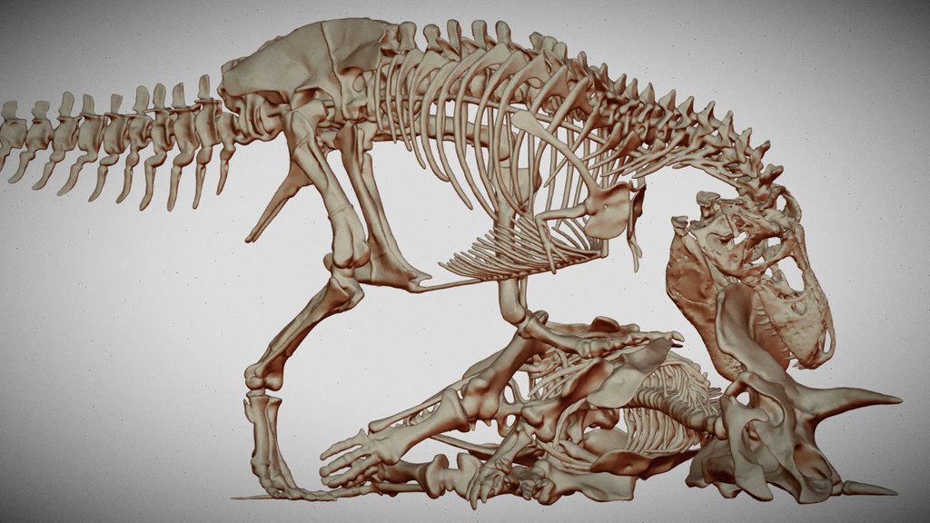 T-rex_whole_mm_1-20_scale