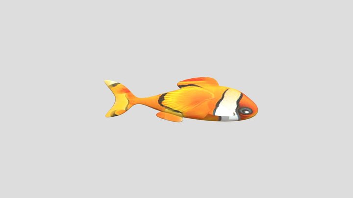 Ikan koi 3D Model
