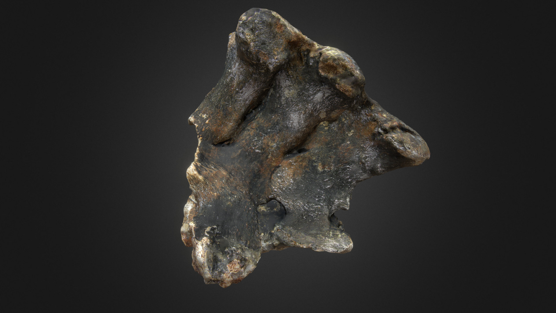 3D model Woolly Rhino Sacrum - This is a 3D model of the Woolly Rhino Sacrum. The 3D model is about a close-up of a statue.