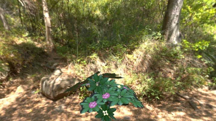 Rhododendron Version A 3D Model