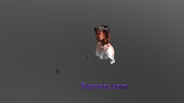New Skanect Model 3D Model