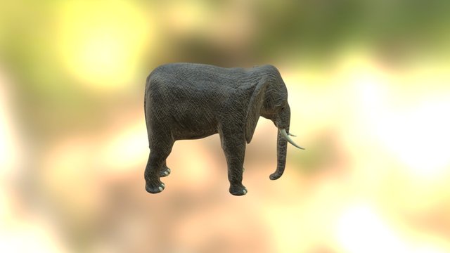 Elefante 3D Model