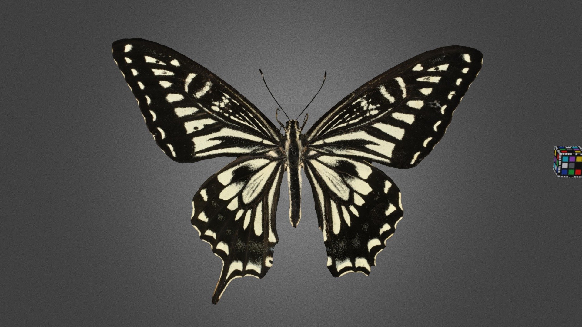f9a2c37c20944f7d82bed0605fd2a2