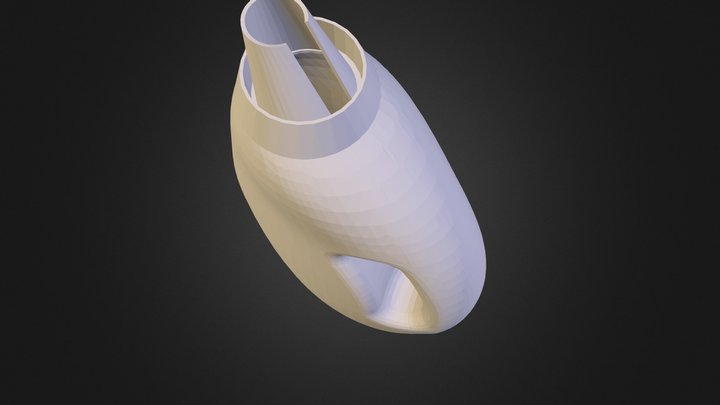 Tanner_Bennett_detergent_bottle 3D Model