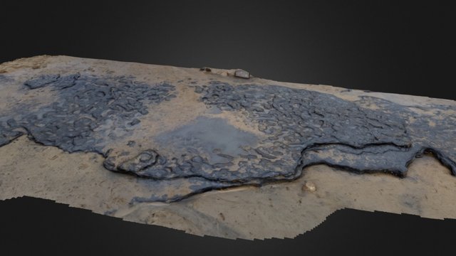 Happisburgh Footprints Revisited / SmDuffy 3D Model