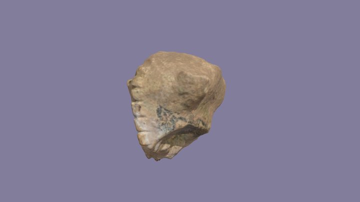Rhyton 3D models - Sketchfab