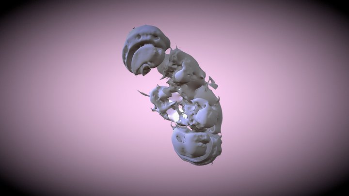 Cerebro 3D Model