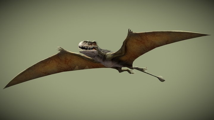 JW: PO Dimorphodon – Modelo 3D gratuito STL