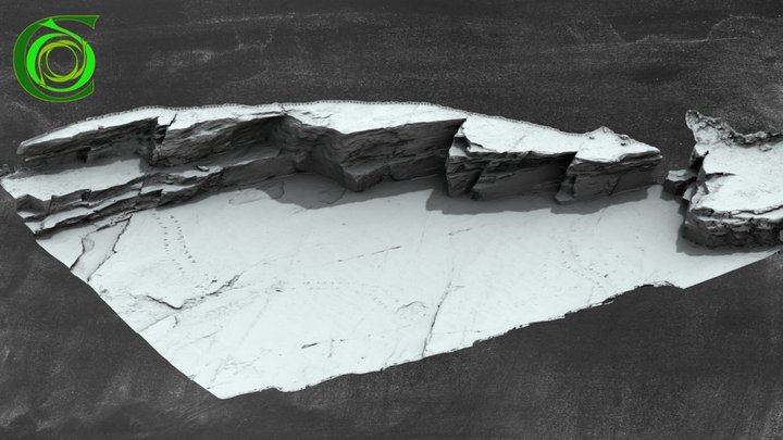 Tertrapod Tracks 3D Model