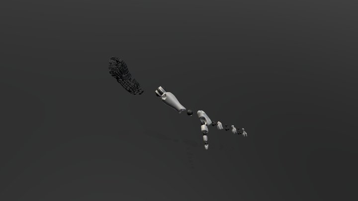 Explosionado prótesis 3D Model