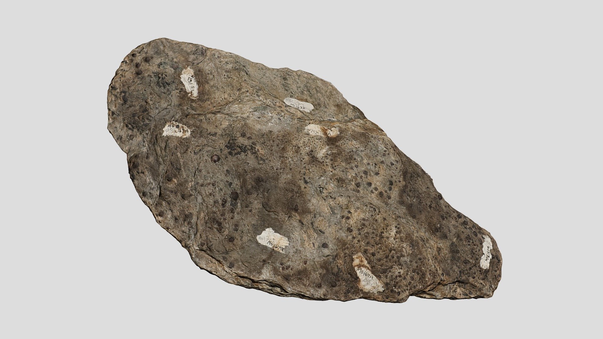 MS167A
