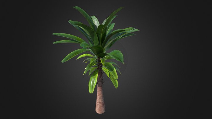 Banana Tree
