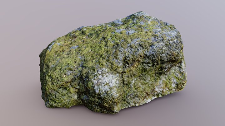 Moss Rock Photoscan – Modèle 3D gratuit STL