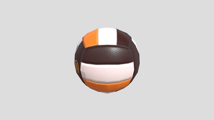 Official Volleyball