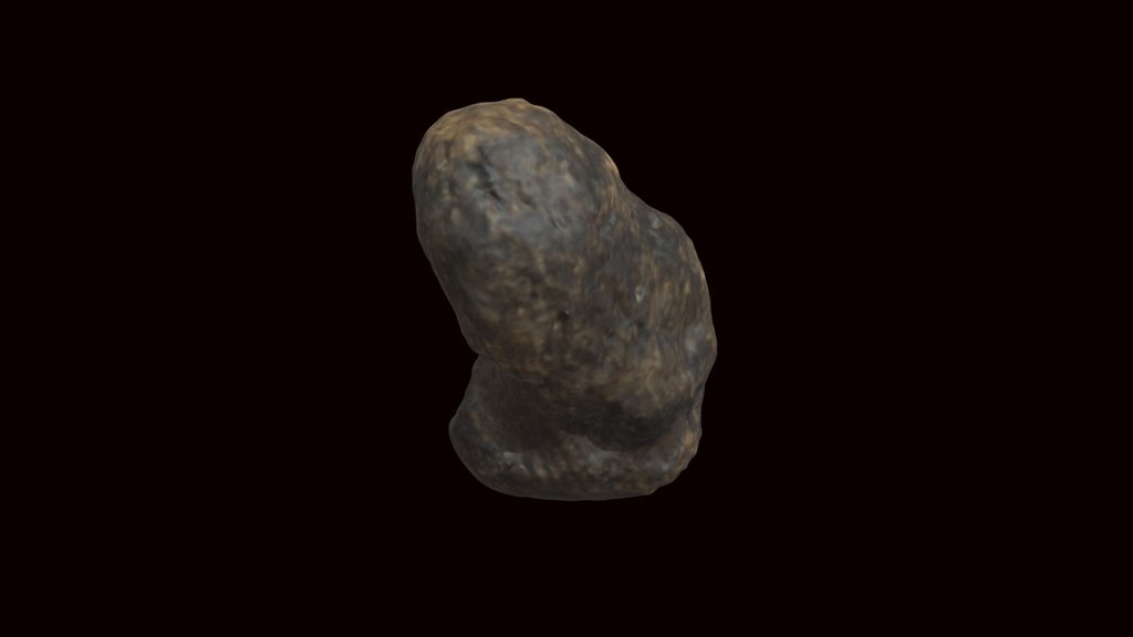 Mastodon ankle bone (VCU_3D_4197)
