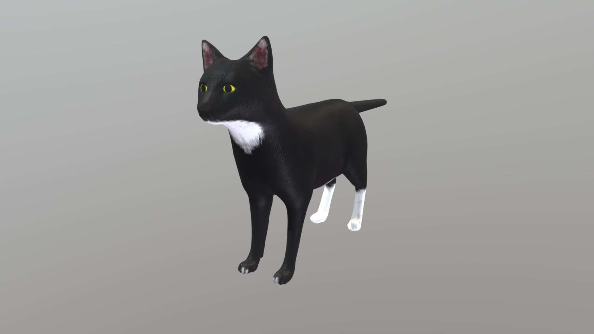 Cat - 3d Model By Sandra R (@sandra R) [5cbf7b6] - Sketchfab