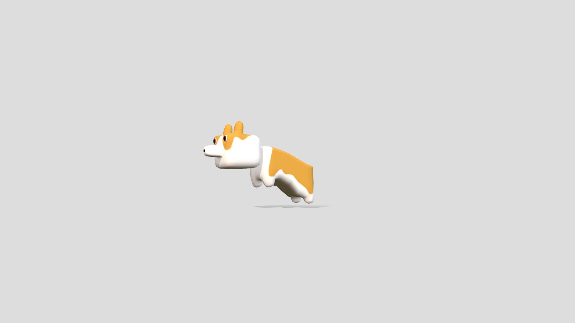 Dog corgi animated