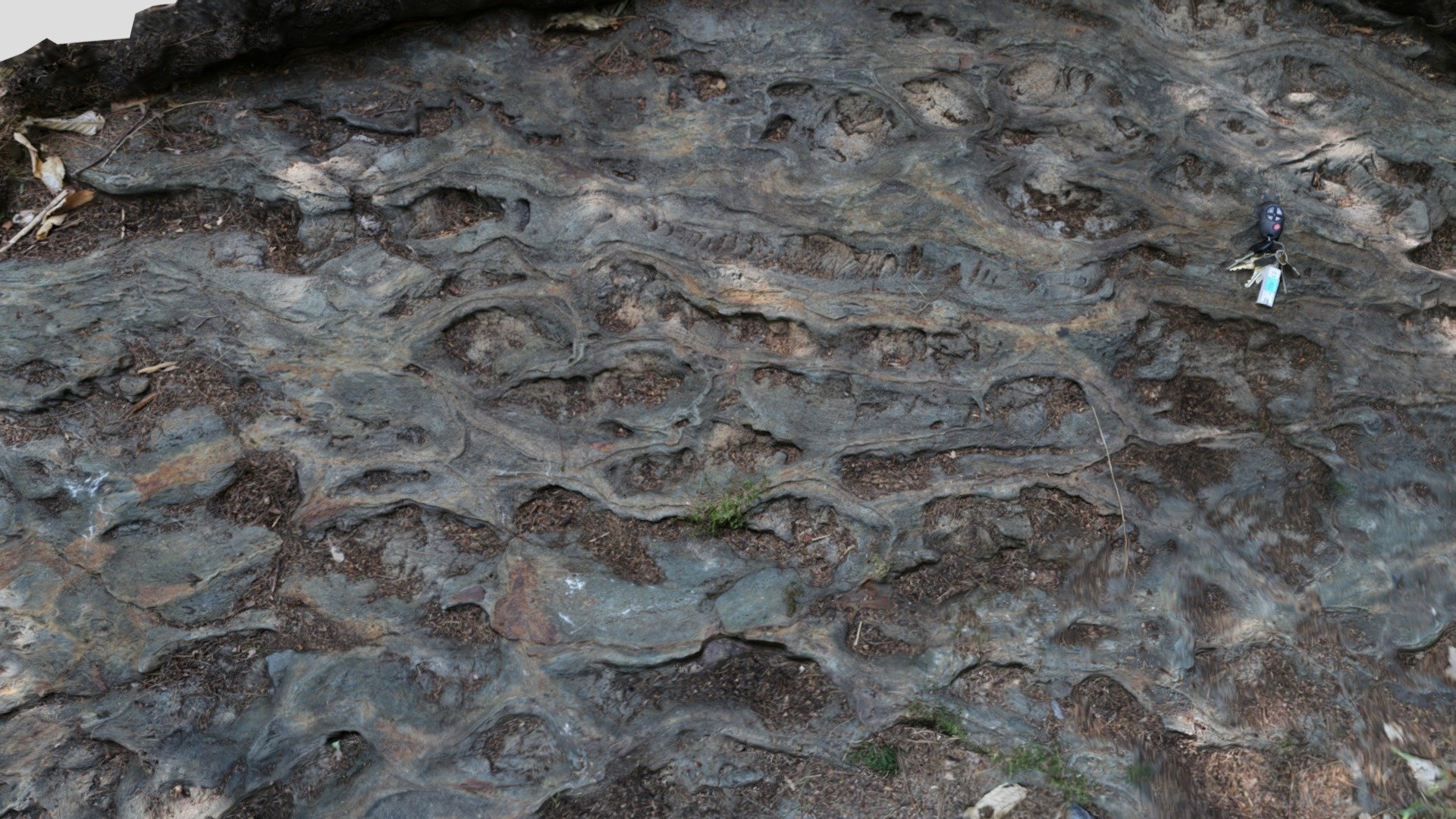 Lyme NH Pathways Outcrop 3D model by Dartmouth College Earth Sciences