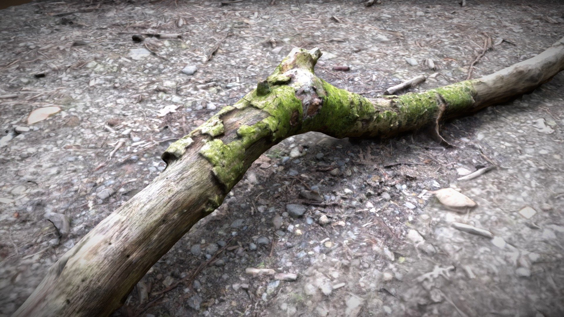 Hard wooden stick - 3D photogrammetry test