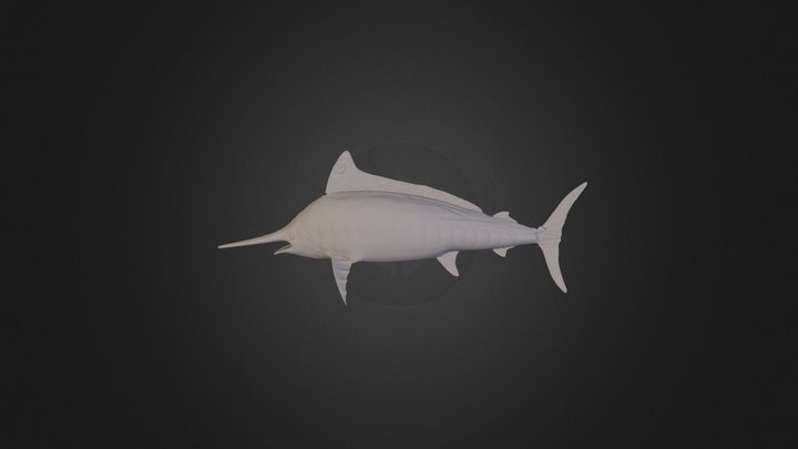 Swordfish 3D Model