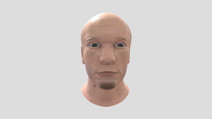 Head Male Bust 3D Model