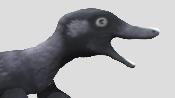 Microraptor V2 3D Model
