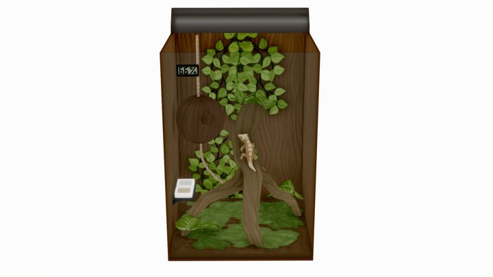 Crested Gecko Vivarium 3D Model