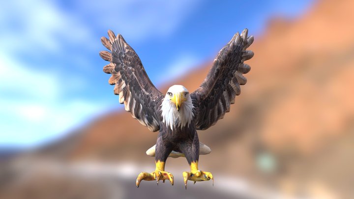 Realistic Bald Eagle 3D Model