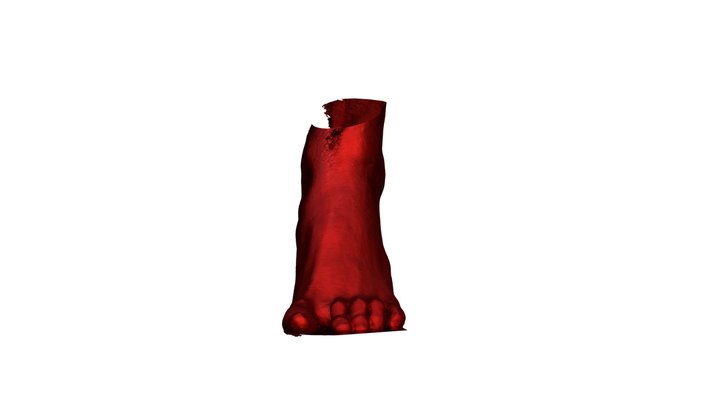 Foot for Thought 3D Model