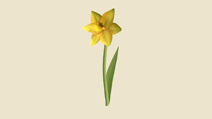 Daffodil