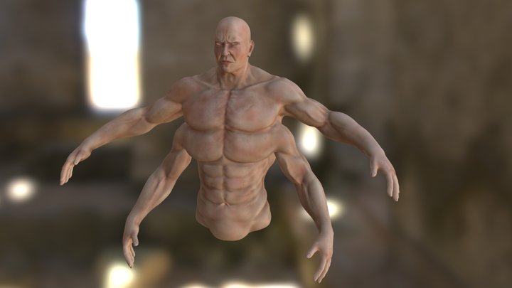 Body 3D Model