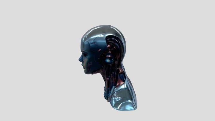 robo face (free) 3D Model