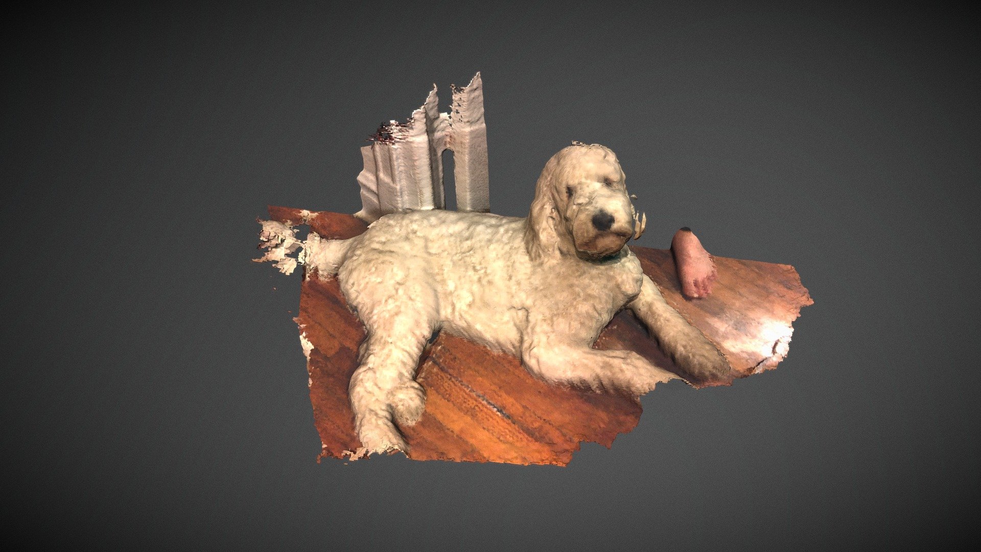 Charlemagne the labordoodle
