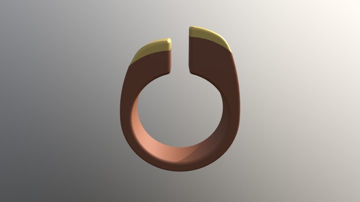Ring 3 3D Model