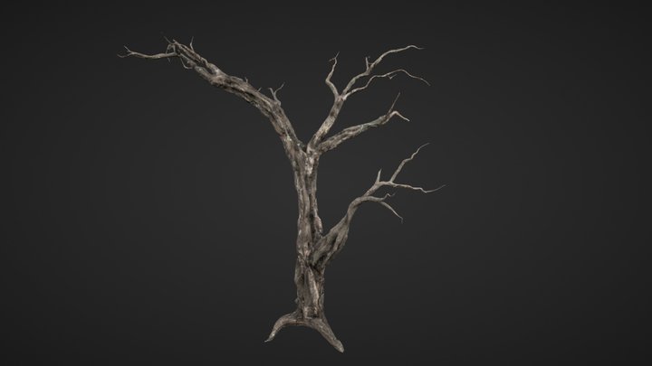 Old Tree 3D Model