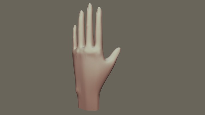 Realistic Hand 3D Model