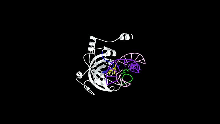 UHRF1 SRA Domain: The DNA Barcode Scanner (3F8I) 3D Model