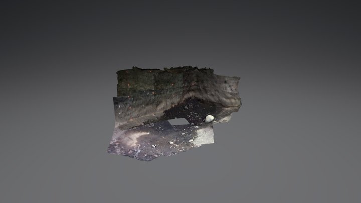 HP7 with LED light 3D Model